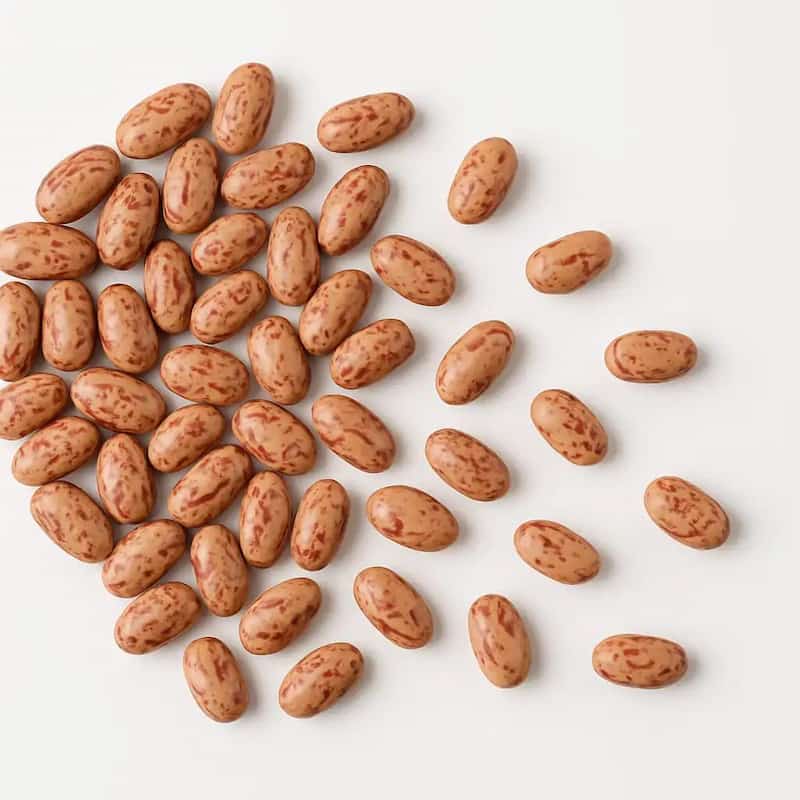 خرید لوبیا چیتی 450 گرمی گلستان + قیمت فروش استثنایی